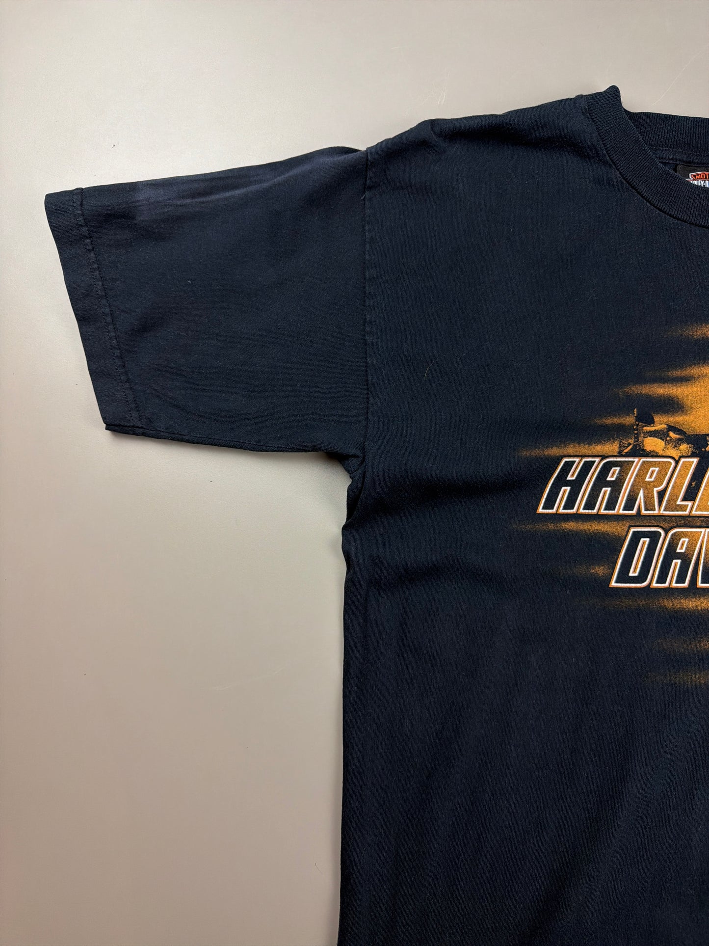 Harley-Davidson 2004 "Black Hills" Graphic Tee - Vintage Racing Sleaze