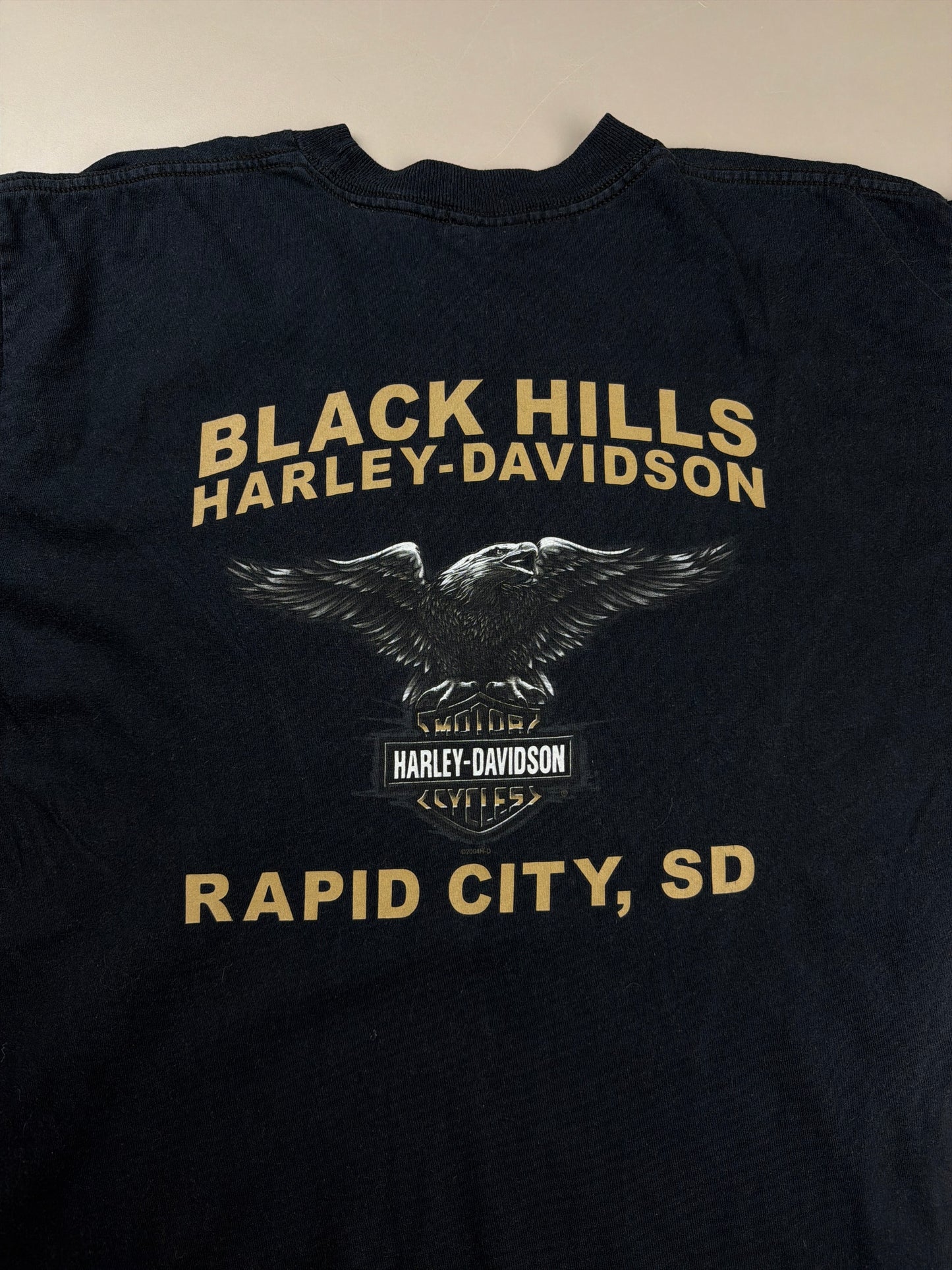 Harley-Davidson 2004 "Black Hills" Graphic Tee - Vintage Racing Sleaze